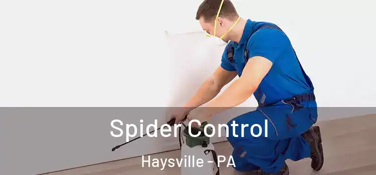  Spider Control Haysville - PA