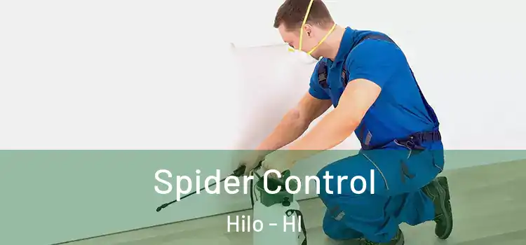 Spider Control Hilo - HI