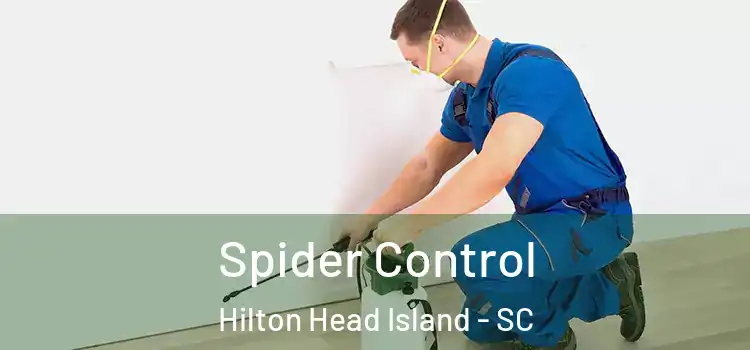 Spider Control Hilton Head Island - SC