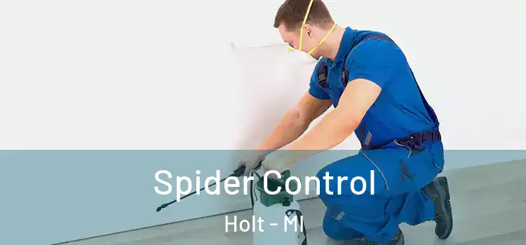  Spider Control Holt - MI