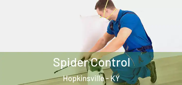  Spider Control Hopkinsville - KY