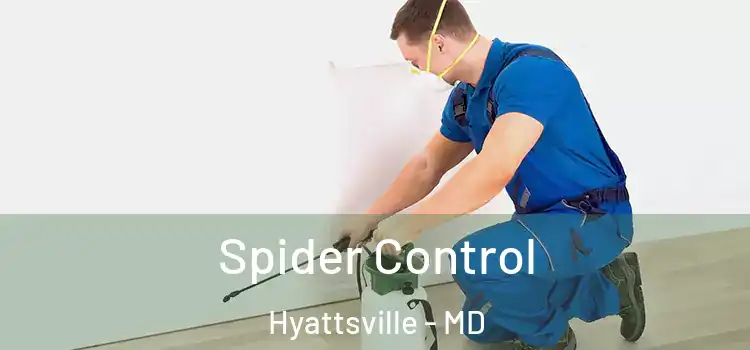 Spider Control Hyattsville - MD