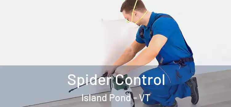  Spider Control Island Pond - VT
