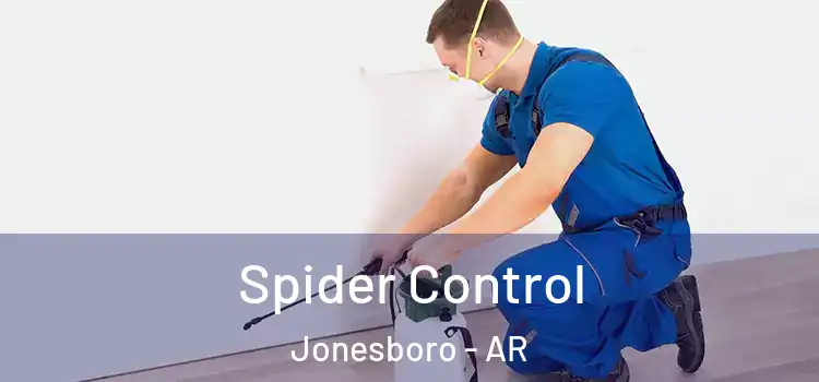  Spider Control Jonesboro - AR