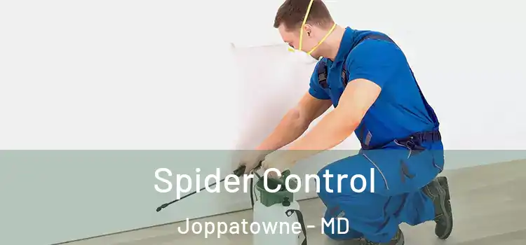  Spider Control Joppatowne - MD