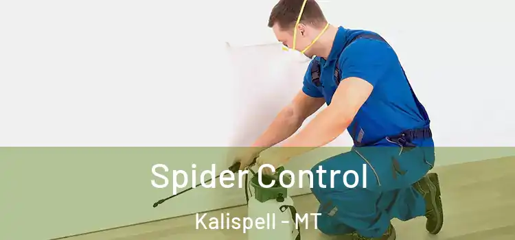  Spider Control Kalispell - MT