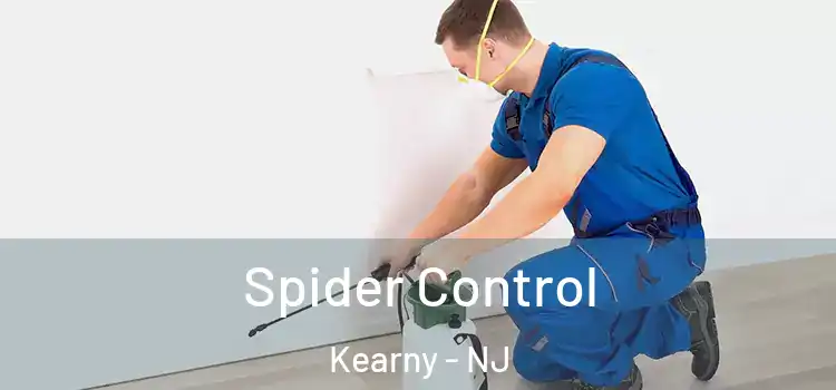  Spider Control Kearny - NJ
