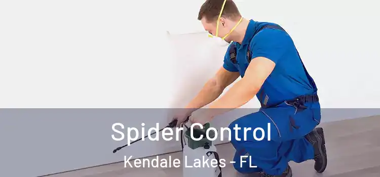 Spider Control Kendale Lakes - FL