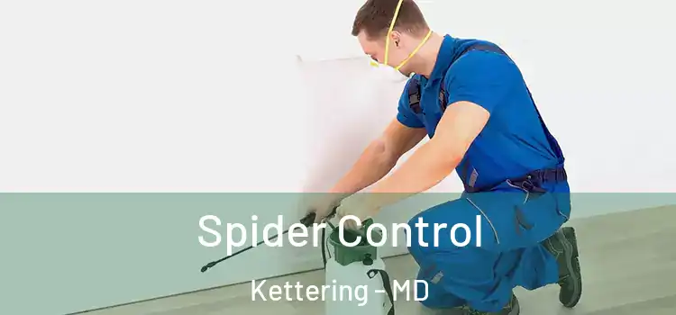 Spider Control Kettering - MD