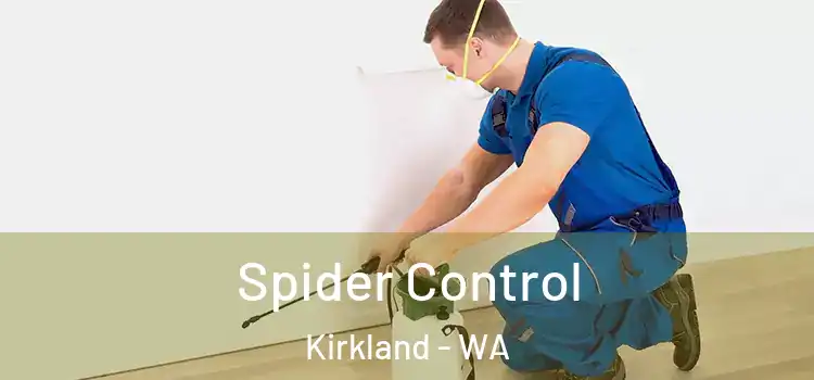 Spider Control Kirkland - WA