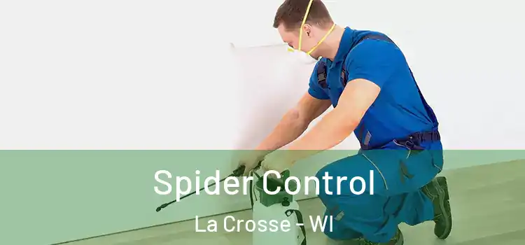  Spider Control La Crosse - WI