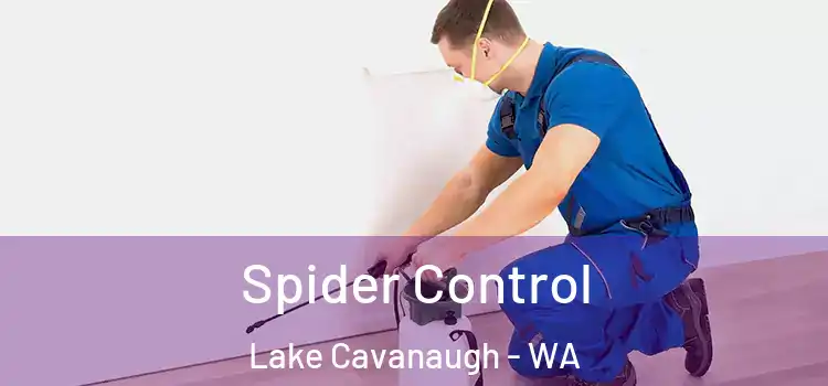  Spider Control Lake Cavanaugh - WA
