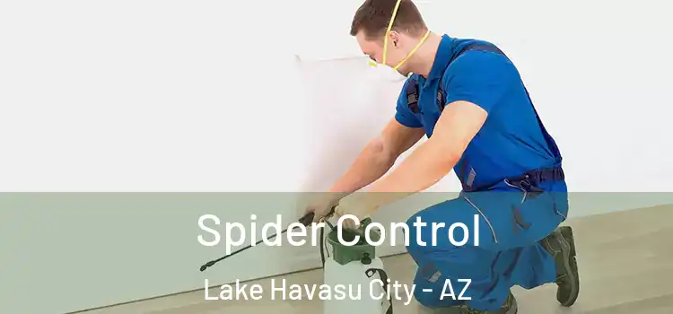  Spider Control Lake Havasu City - AZ
