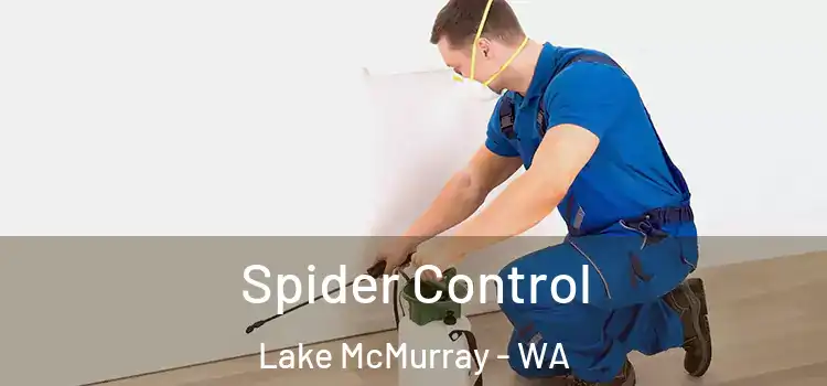  Spider Control Lake McMurray - WA