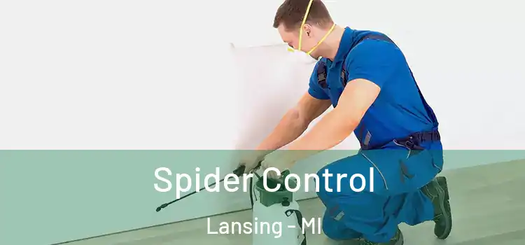  Spider Control Lansing - MI