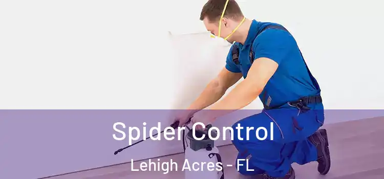  Spider Control Lehigh Acres - FL
