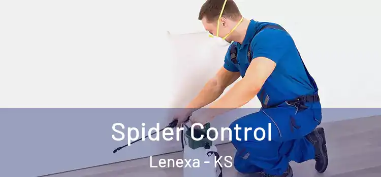 Spider Control Lenexa - KS