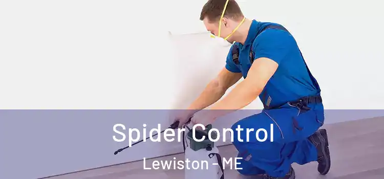  Spider Control Lewiston - ME