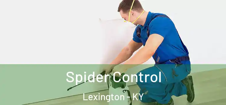  Spider Control Lexington - KY