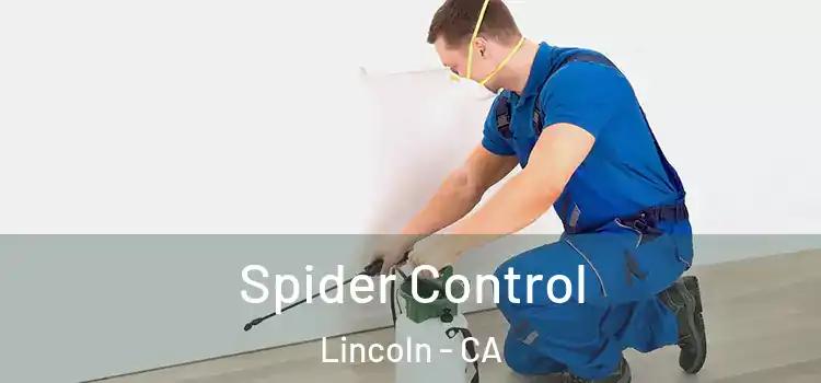  Spider Control Lincoln - CA