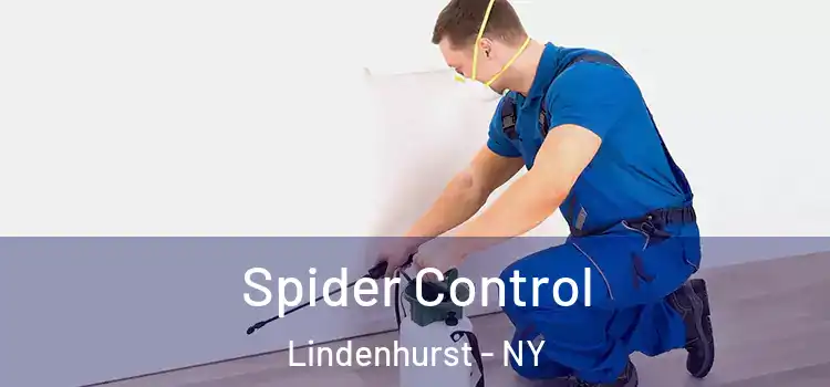  Spider Control Lindenhurst - NY