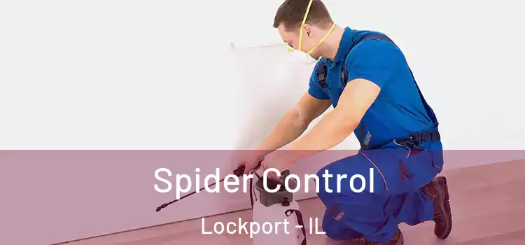 Spider Control Lockport - IL