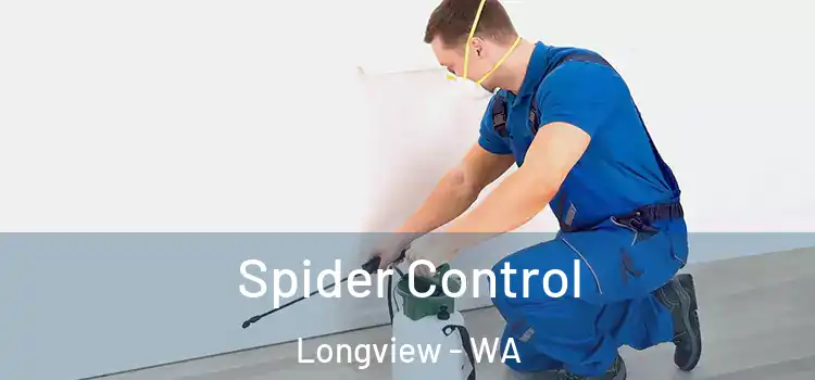  Spider Control Longview - WA