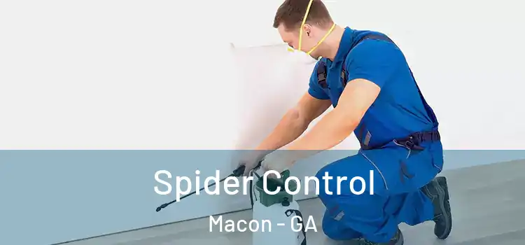  Spider Control Macon - GA