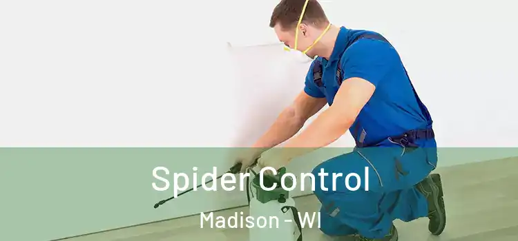 Spider Control Madison - WI