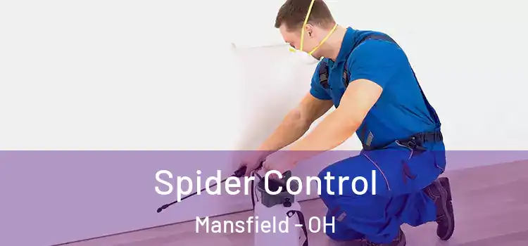  Spider Control Mansfield - OH