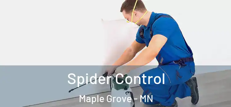  Spider Control Maple Grove - MN