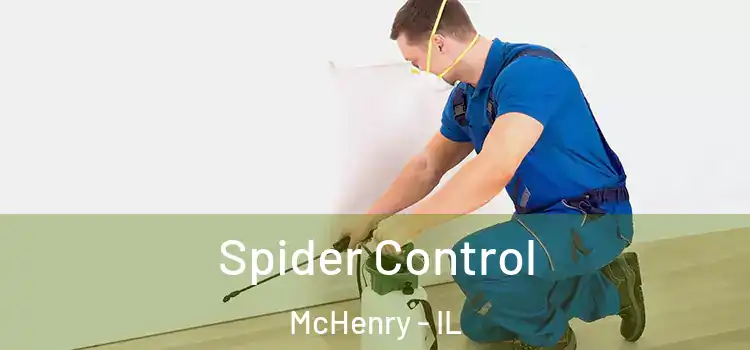 Spider Control McHenry - IL