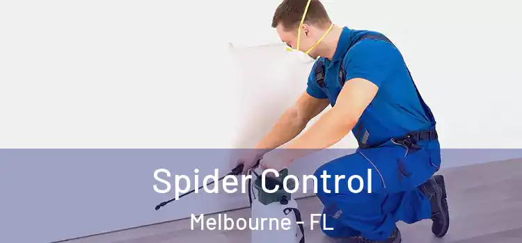  Spider Control Melbourne - FL