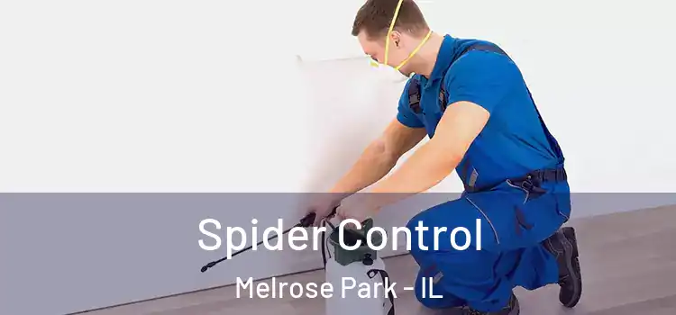 Spider Control Melrose Park - IL