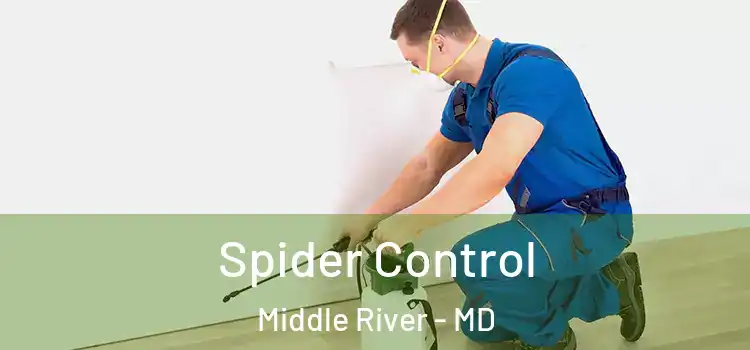 Spider Control Middle River - MD