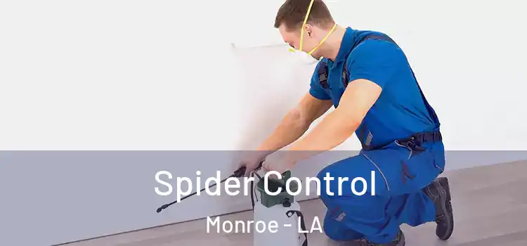 Spider Control Monroe - LA