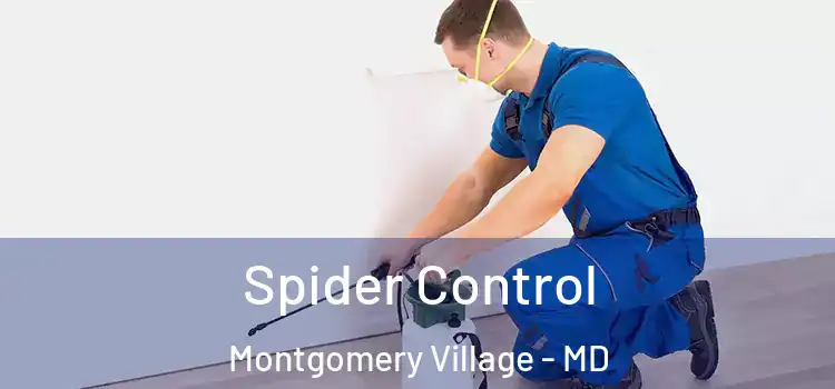  Spider Control Montgomery Village - MD