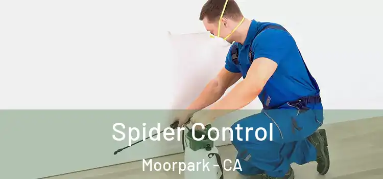  Spider Control Moorpark - CA