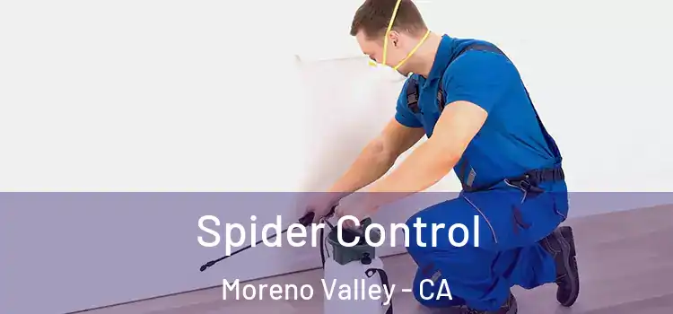 Spider Control Moreno Valley - CA