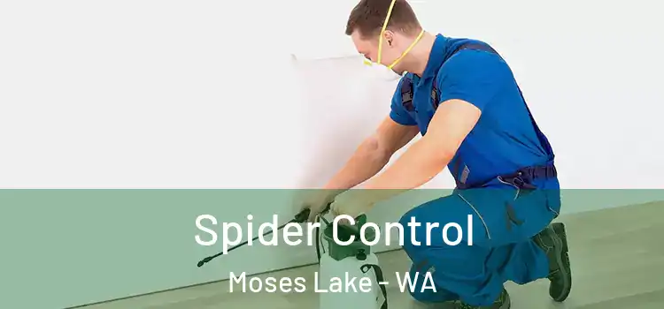 Spider Control Moses Lake - WA