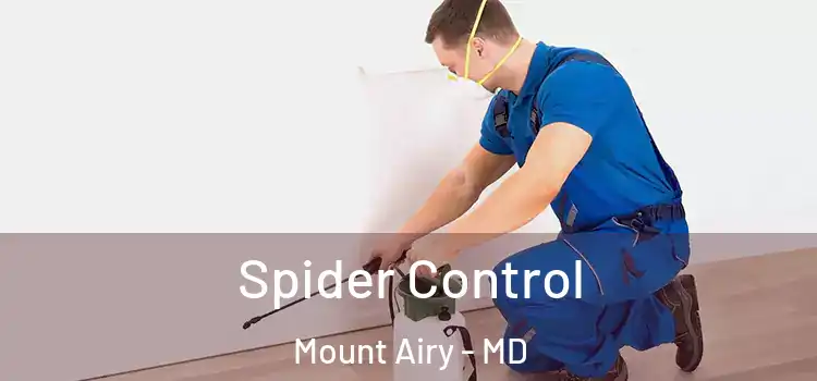  Spider Control Mount Airy - MD