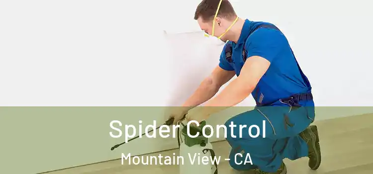  Spider Control Mountain View - CA