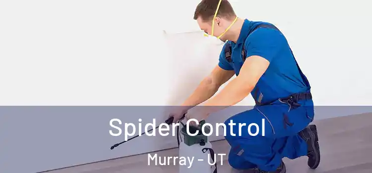 Spider Control Murray - UT