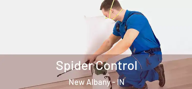  Spider Control New Albany - IN