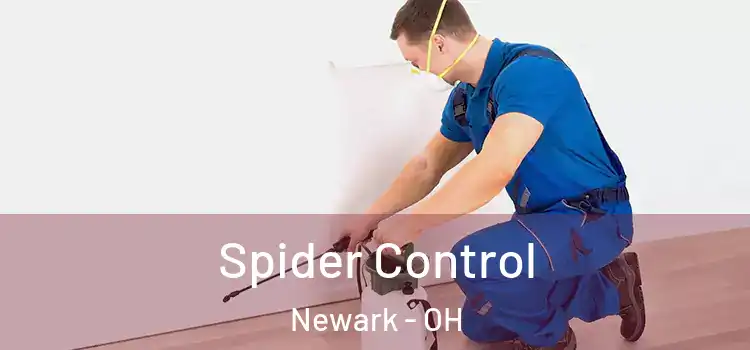  Spider Control Newark - OH