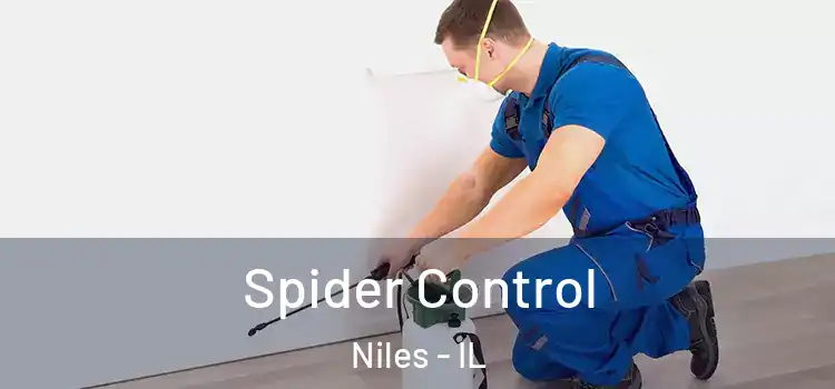 Spider Control Niles - IL