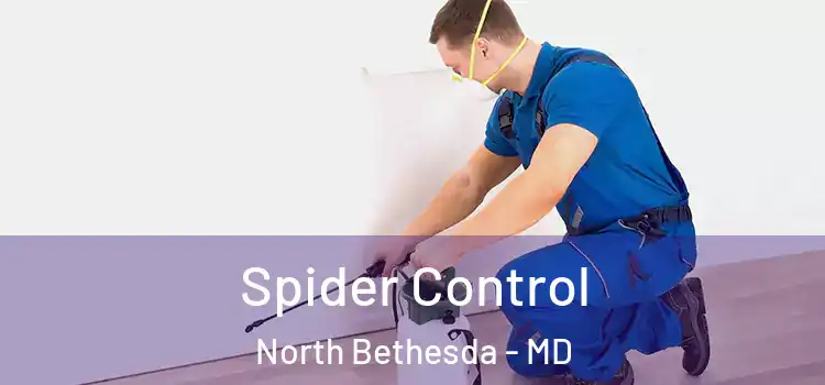 Spider Control North Bethesda - MD