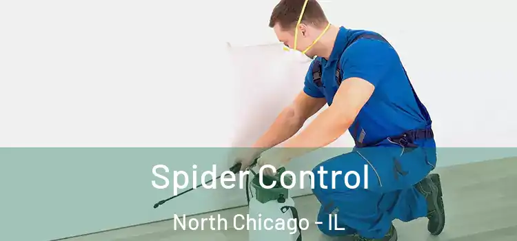Spider Control North Chicago - IL