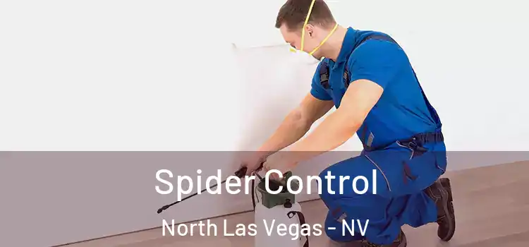  Spider Control North Las Vegas - NV