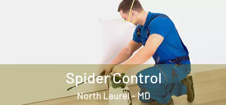  Spider Control North Laurel - MD